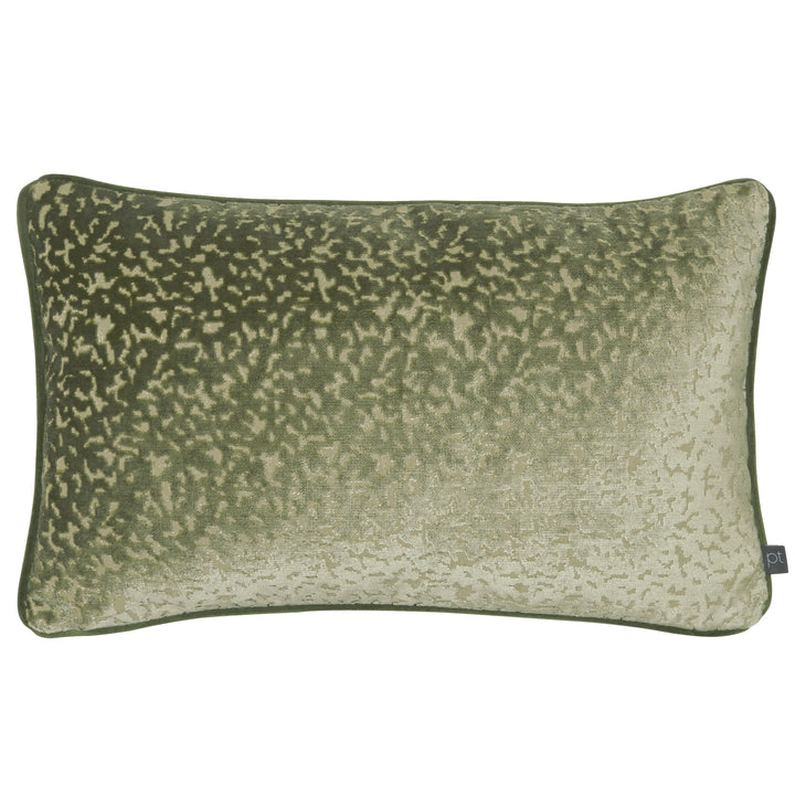 PHAROAH 30X50 C/CASE OLIVE