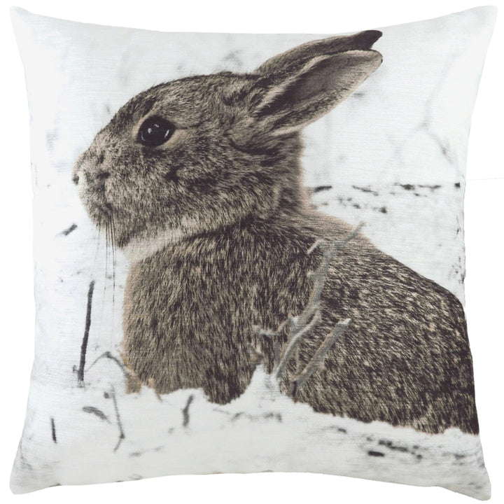 PHOTO HARE 43X43 C/CASE MULTI