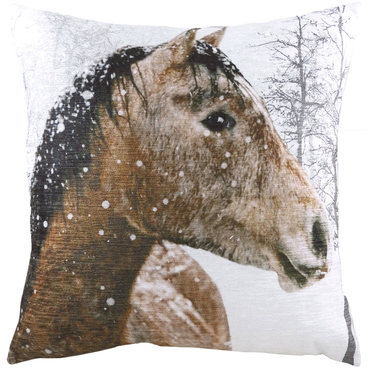 PHOTO HORSE 43X43 C/CASE MULTI