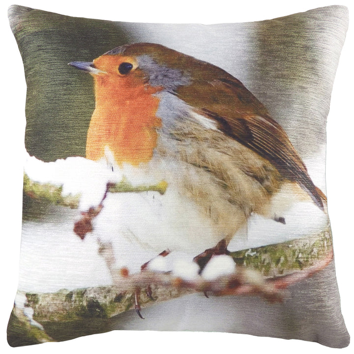 PHOTO ROBIN 43X43 C/CASE MULTI