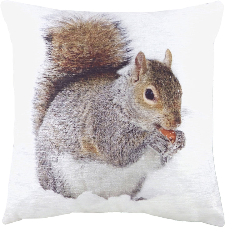 PHOTO SQUIRREL 43X43 C/CASE MULTI