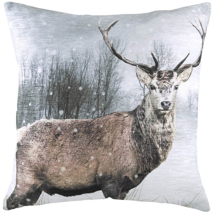 PHOTO STAG 43X43 C/CASE MULTI