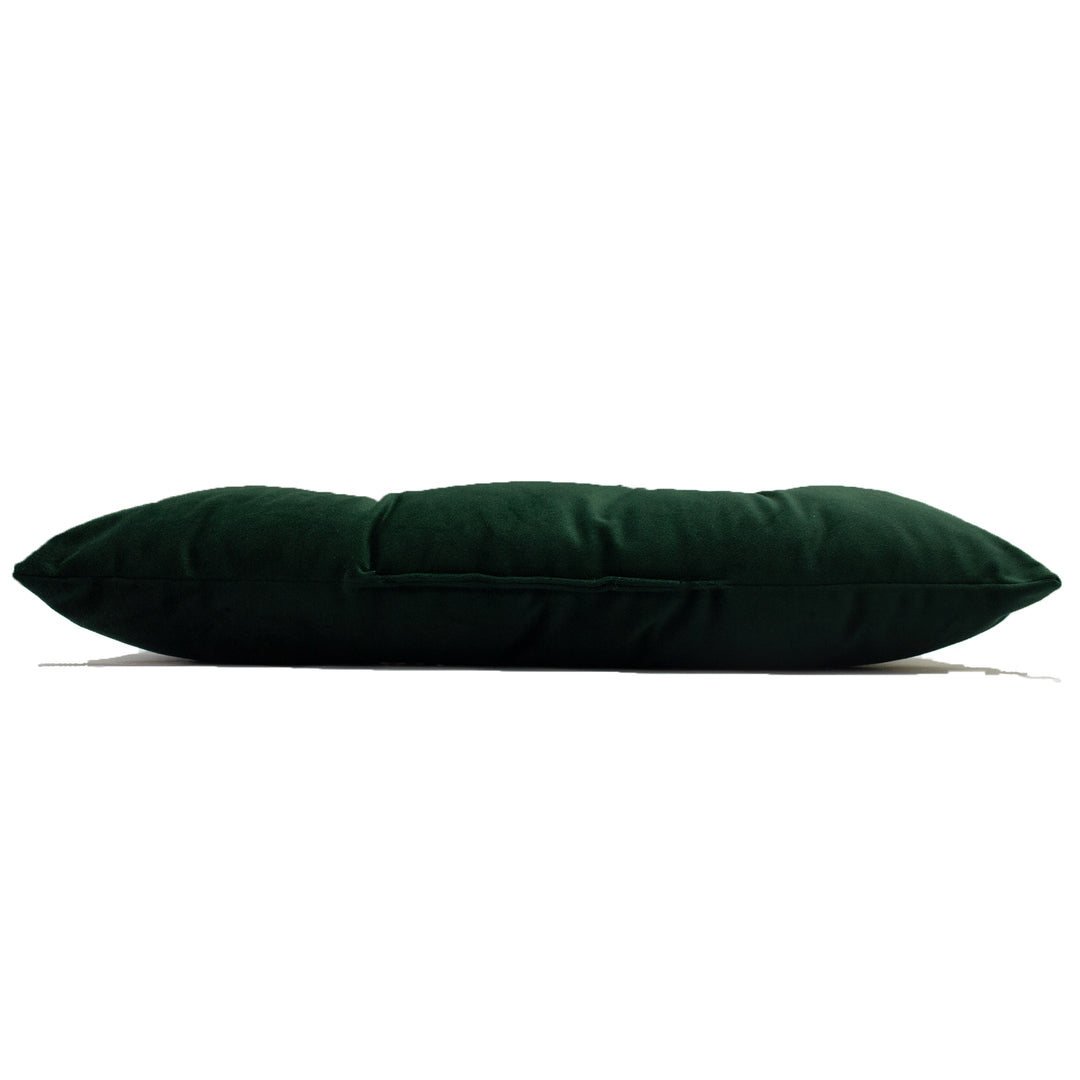 PINEAPPLE 30X50 PF CUSHION EMERA
