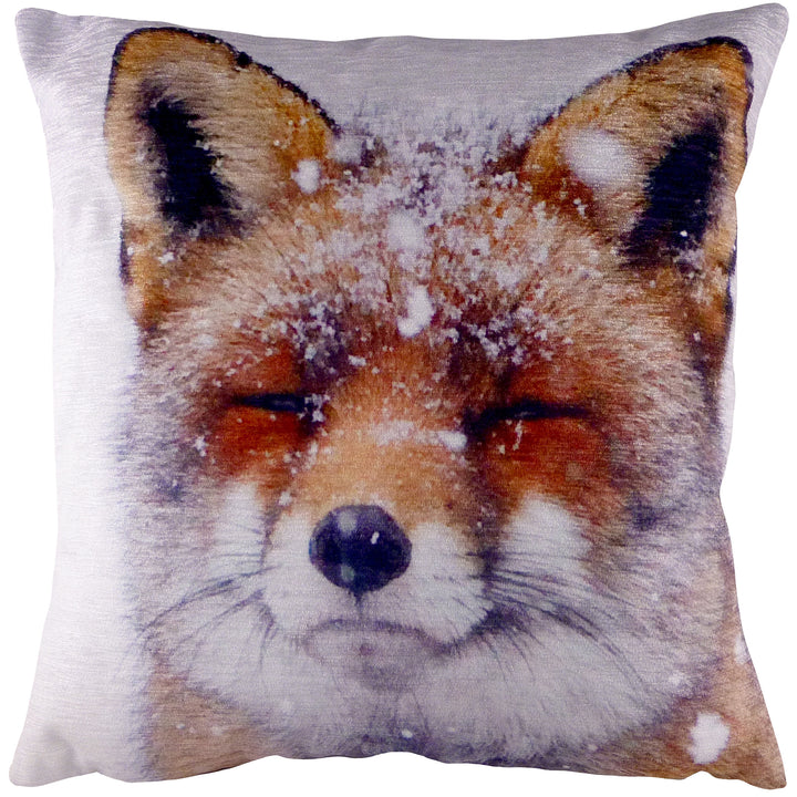 PORTRAIT FOX 43X43 C/CASE MULTI