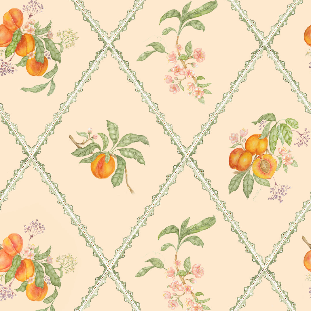 Peach Trellis Wallpaper Melba - image 3