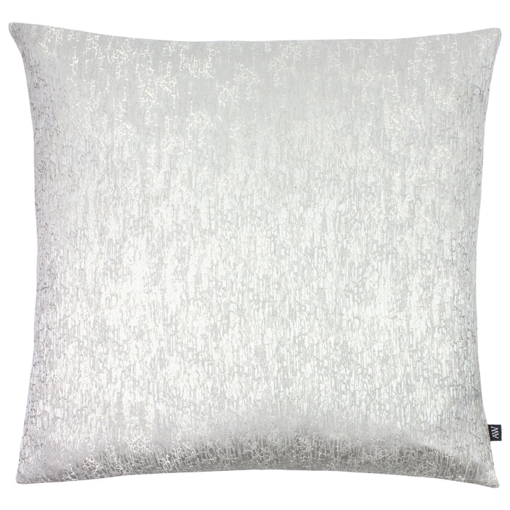 RION 50X50 C/CASE DOVE/SILVER
