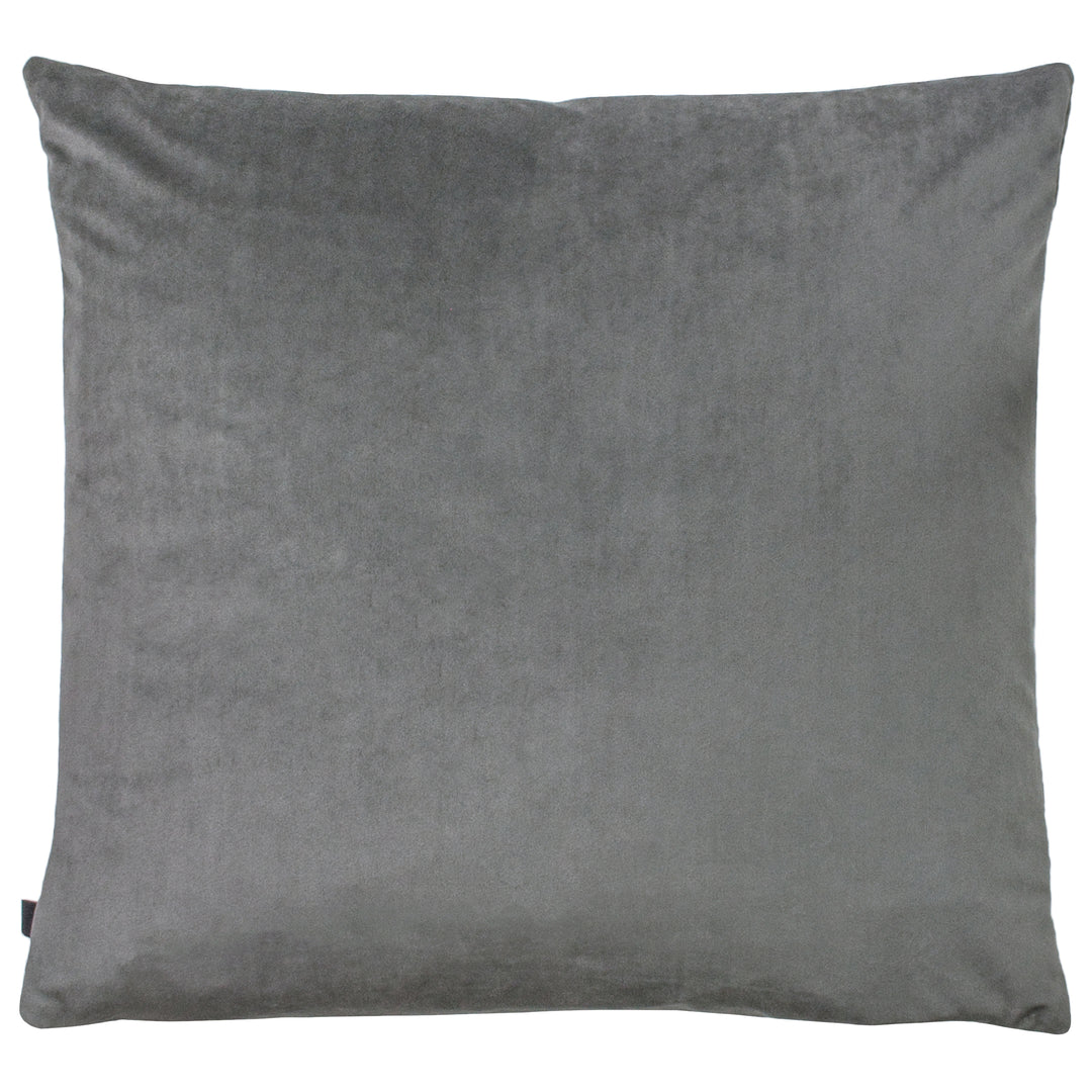 RION 50X50 C/CASE SLATE/STEEL