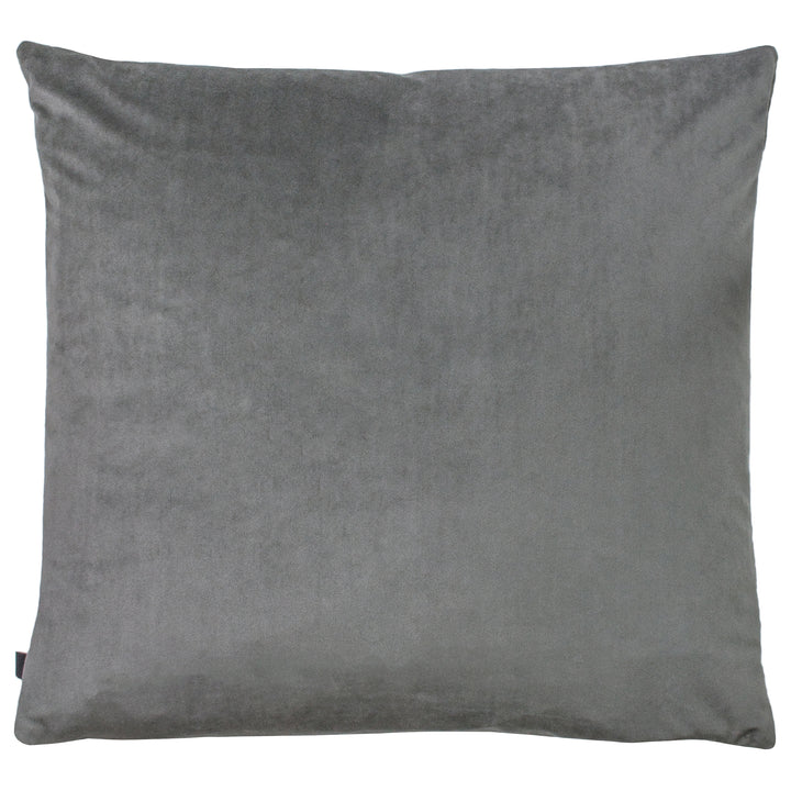 RION 50X50 C/CASE SLATE/STEEL