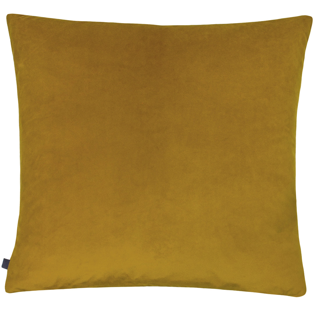 RION 50X50 C/CASE SUNSHINE/GOLD