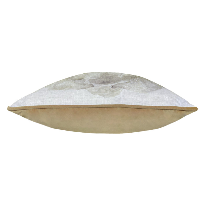 SAFARI ELEPHANT RV MB 43X43 C/C WHITE