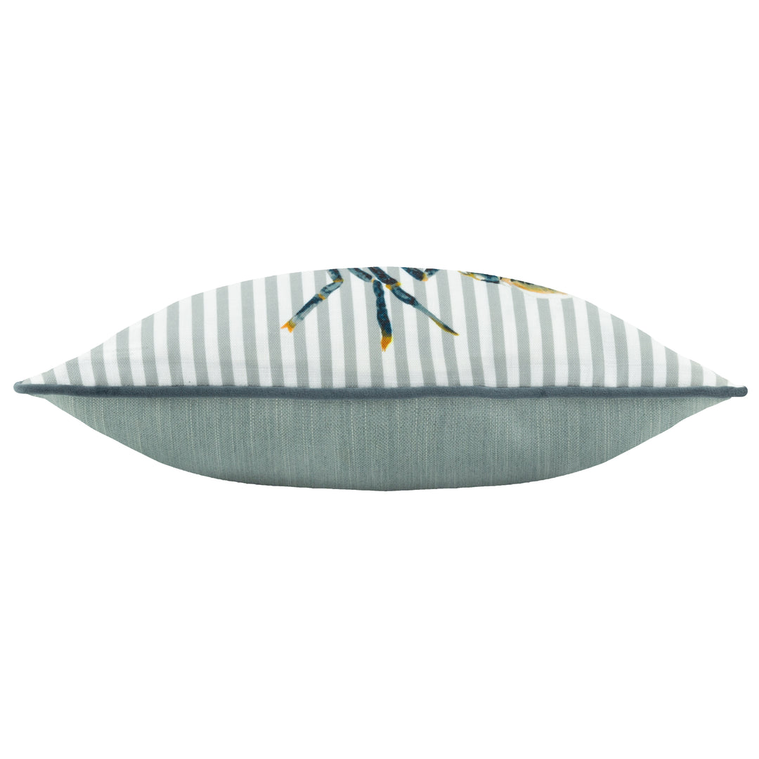 SALCOMBE LOBSTER 30X50 CUSHION CASE MULTI