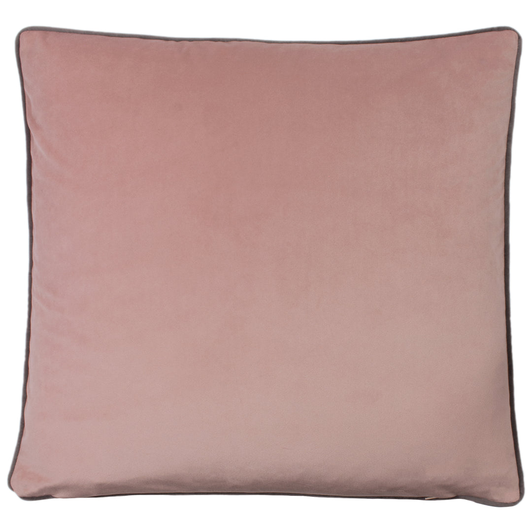 SAVANNAH REPEAT 50X50 C/CASE POWDER