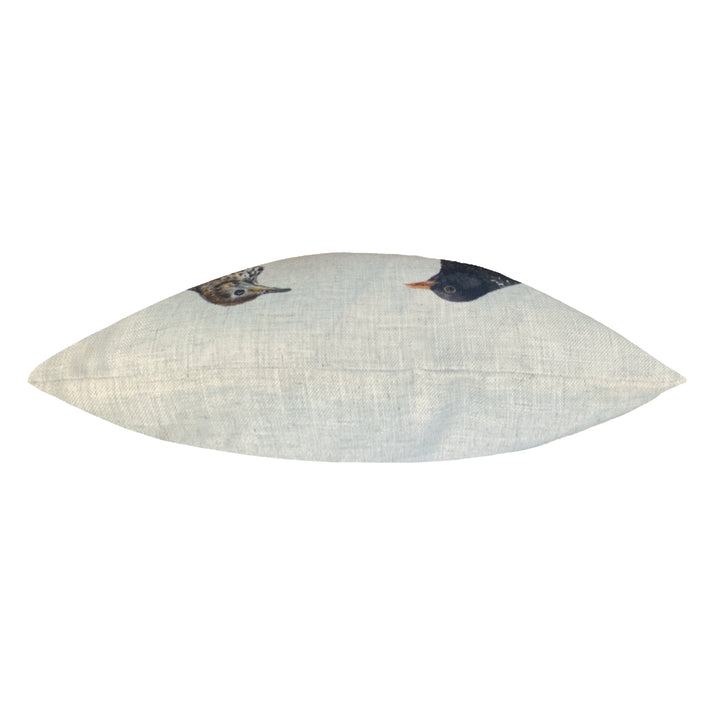 SPECIES BIRDS 43X43 C/CASE MULTI