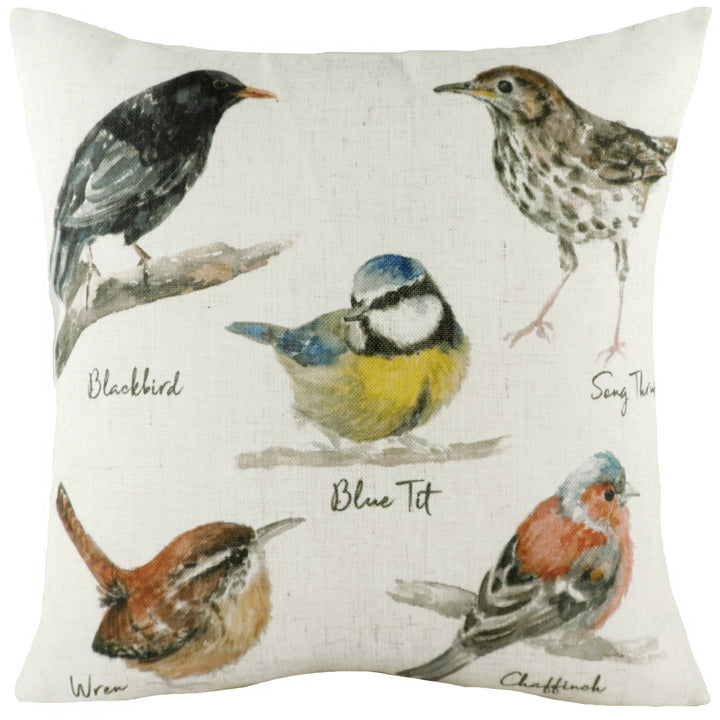 SPECIES BIRDS 43X43 C/CASE MULTI