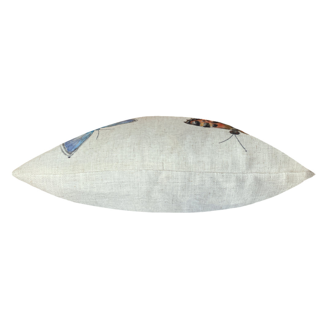 SPECIES BUTTERFLY 43X43 C/CASE MULTI