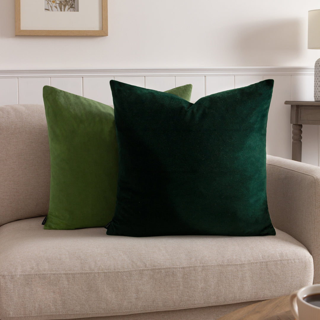 SUNNINGDALE 50X50 C/CASE OLIVE