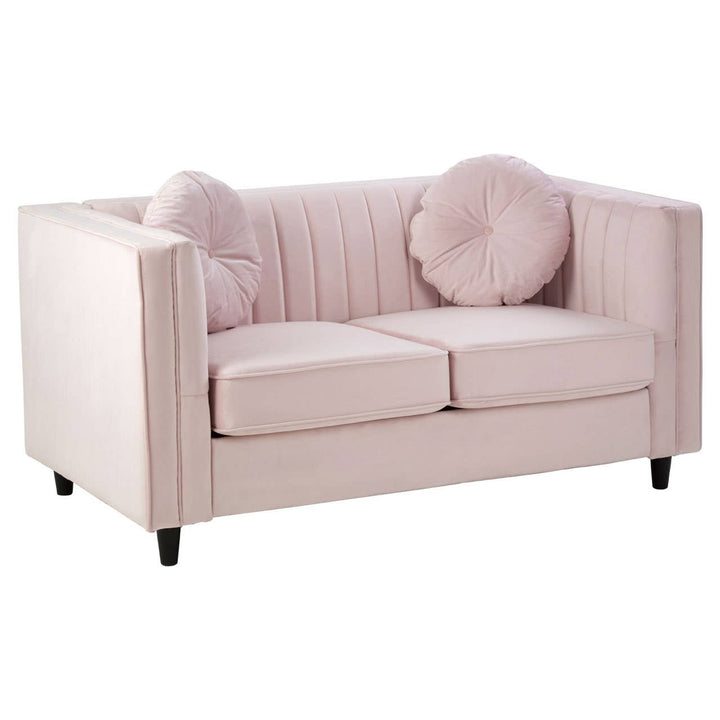 Finch 2 Seat Pink Velvet Sofa