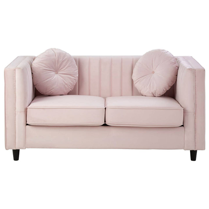 Finch 2 Seat Pink Velvet Sofa