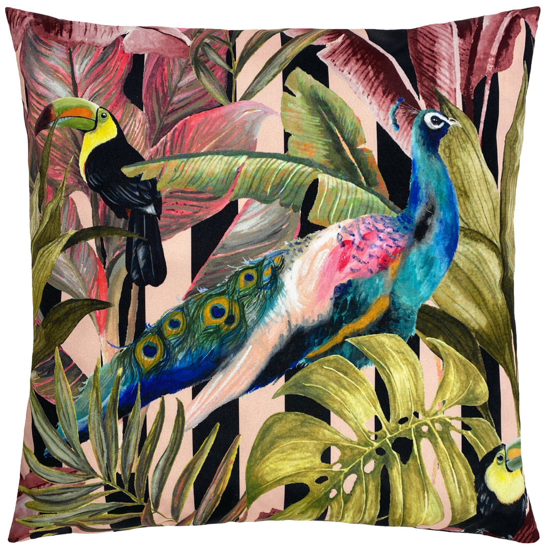 Toucan And Peacock 43x43 Outdoor Cushion Cover Multi