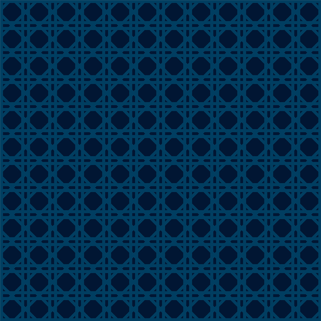 Untamed King Size Duvet Set Blue - image 6