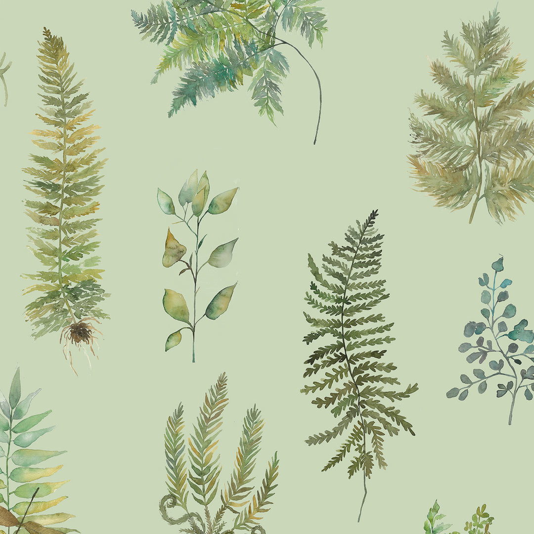 Verbena Wallpaper Sage - image 3