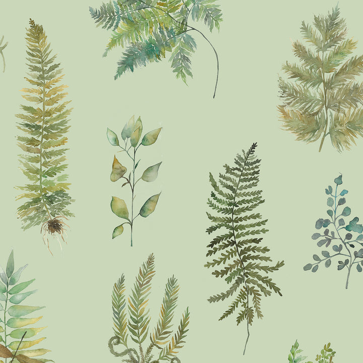 Verbena Wallpaper Sage Sample - image 3