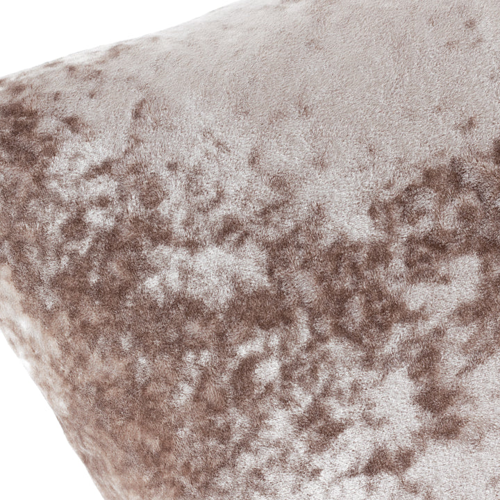 VERONA 55X55 C/CASE OYSTER