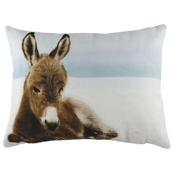 WINTER DONKEY 43X33 C/CASE MULTI