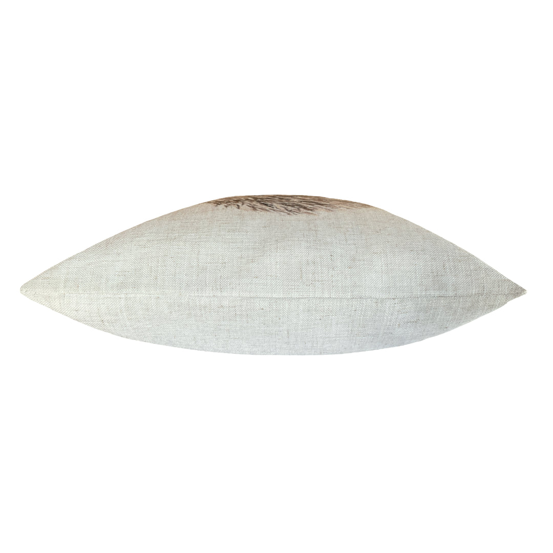 WLAND HEDGEHOG 43X43 C/C WHITE