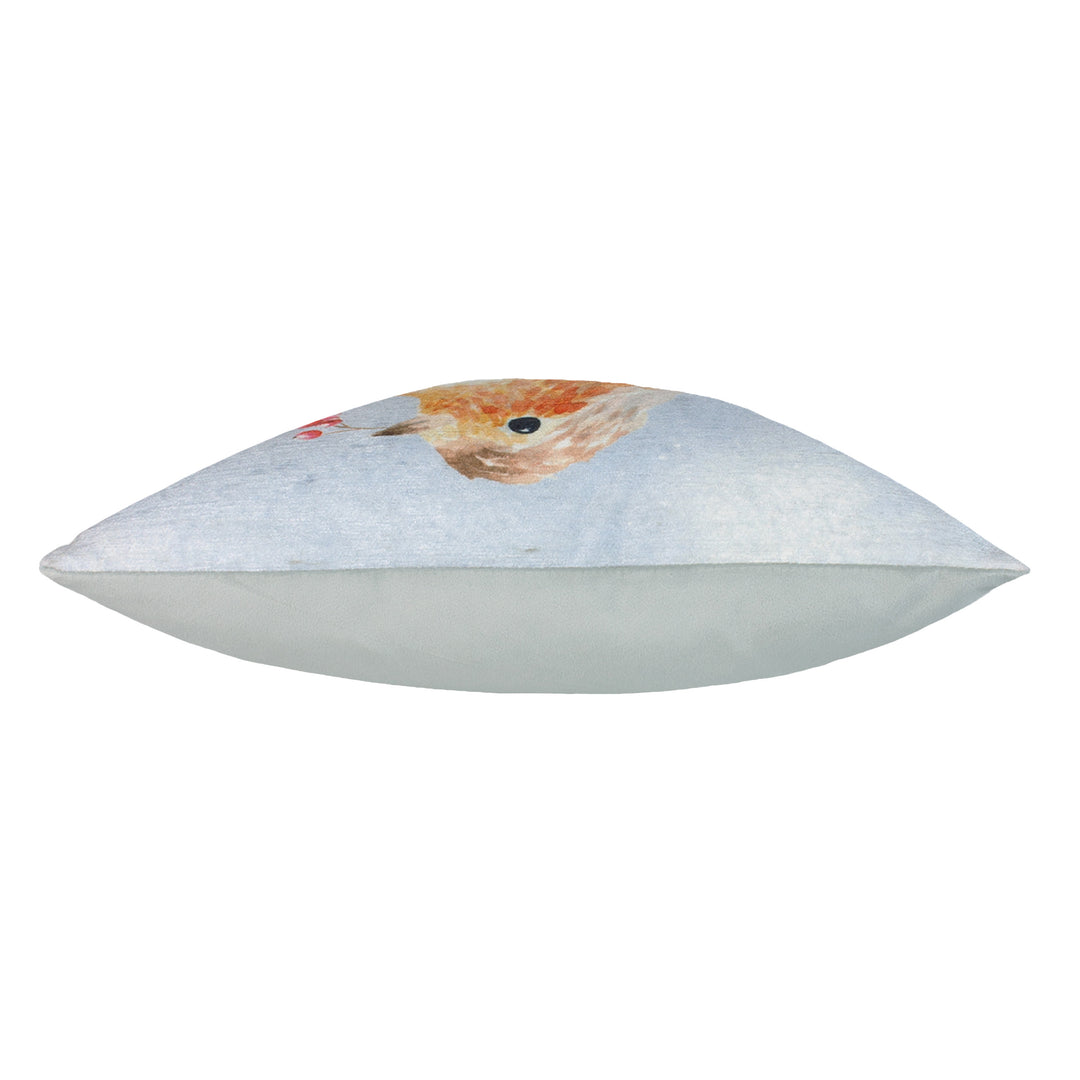 XMAS ROBIN 43X43 C/CASE MULTI
