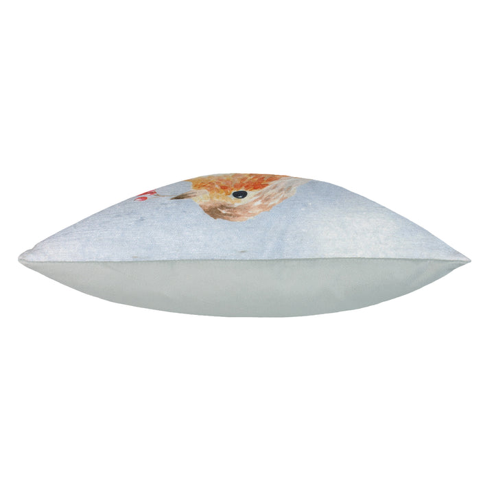 XMAS ROBIN 43X43 C/CASE MULTI