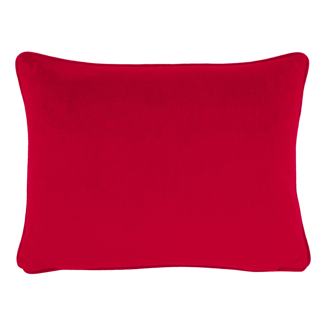 XMAS ROBINS CHENILLE 43X33 C/CASE MULTI