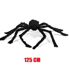 spiders for Halloween
