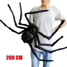spiders for Halloween